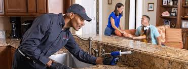 Best Pest Control for Hotels  in Tryon, NC